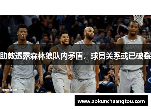 助教透露森林狼队内矛盾，球员关系或已破裂