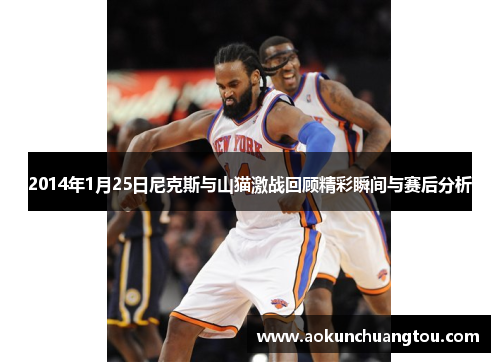 2014年1月25日尼克斯与山猫激战回顾精彩瞬间与赛后分析
